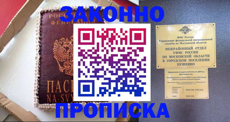 временная регистрация для всех в Палласовке